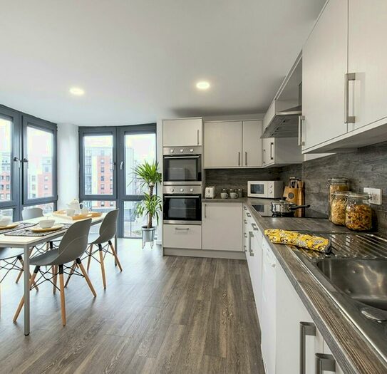 1 Bedroom House To Rent In Ensuite - Gold Edward St, Sheffield, Sheffield, S3