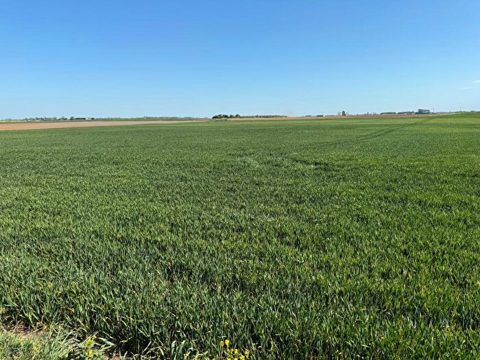 Farm Land To Rent In Andrews Farm, Binnimoor Road, March, Cambridgeshire, PE15
