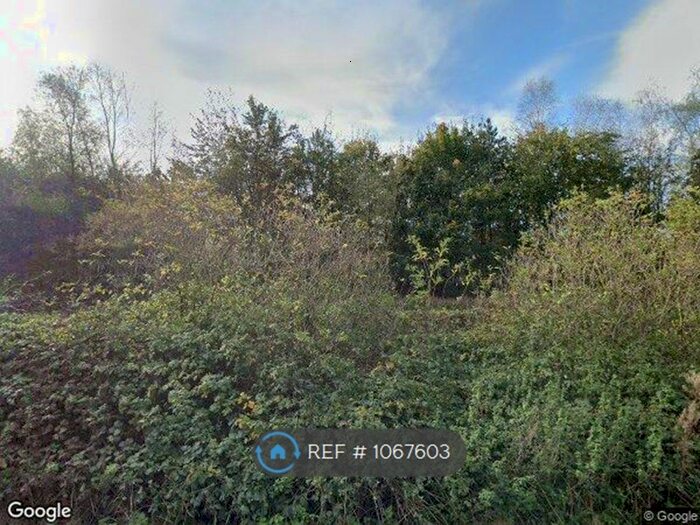 2 Bedroom Semi-Detached House To Rent In Park Lane, Burton Waters, Lincoln, LN1