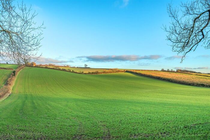 Land For Sale In Beaminster, DT8