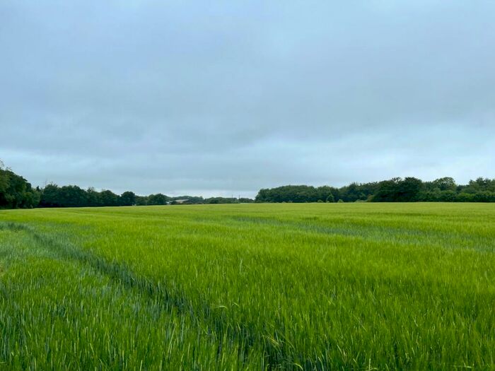 Land For Sale In Quarley, Andover, Hampshire, SP11