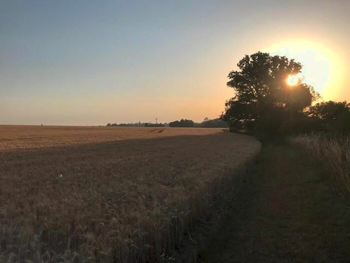 1 Bedroom Detached Bungalow To Rent In Channock Lane, Gilston, Harlow, CM20