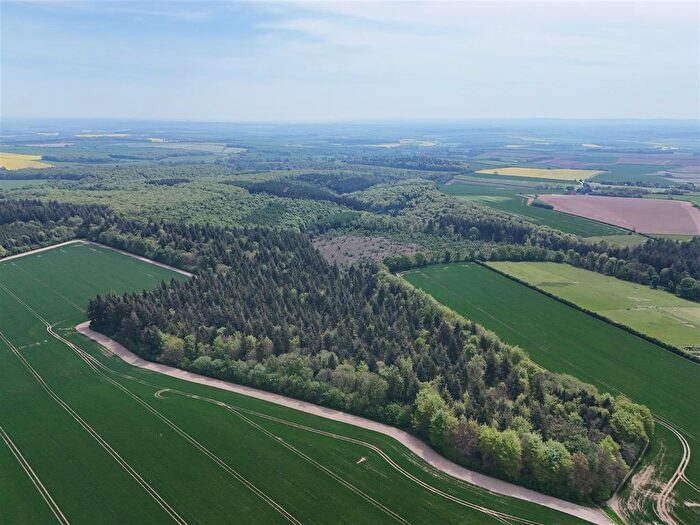 Land For Sale In Milton Abbas, Blandford, DT11