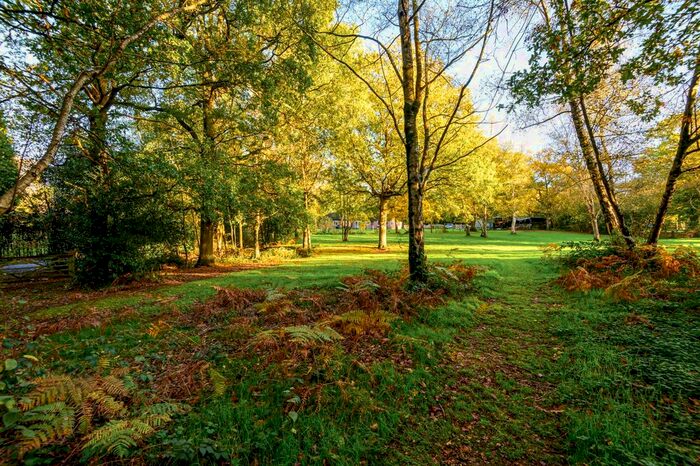 4 Bedroom Bungalow To Rent In Broad Lane, Newdigate, Dorking, RH5