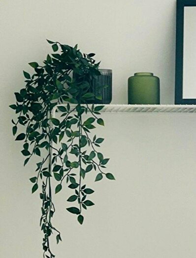 2 Bedroom House To Rent In Ashbourne Road, DE22