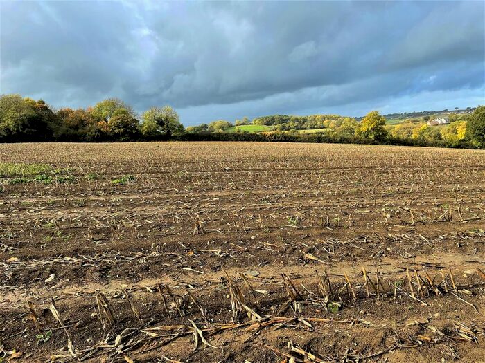 Land For Sale In Ashcott, Bridgwater, Somerset, TA7