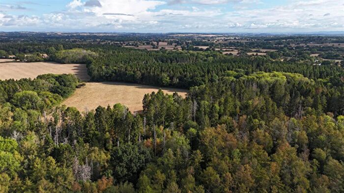Land For Sale In Northlode Woods, Middlemarsh, Sherborne, DT9