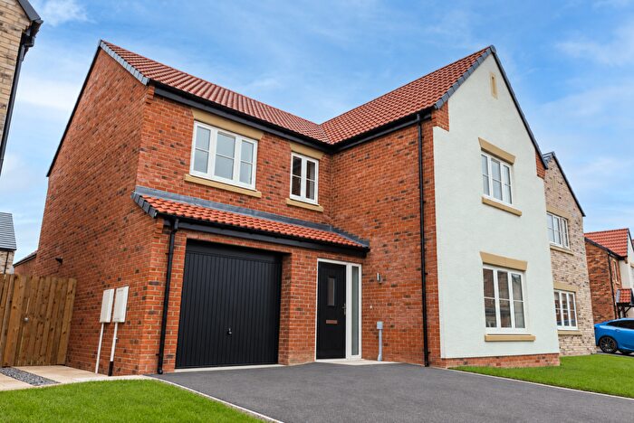 4 Bedroom Detached House For Sale In The Hadfield At Middleton Waters (Homes By Carlton), Middleton St George, DL2