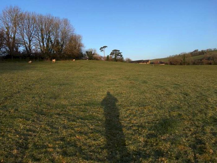 Commercial Land For Sale In Lot 2 - Land At Hall Torrs, PL8