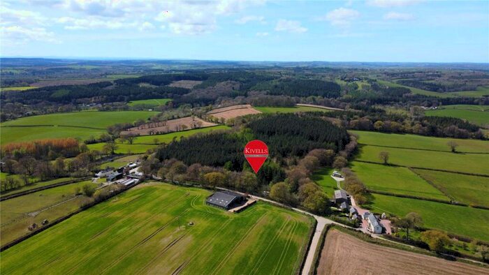 Land For Sale In Hembury Gate Plantation, Sheepwash, Beaworthy, Devon, EX21