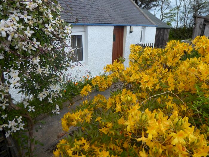 2 Bedroom Cottage For Sale In Enzie, Buckie, AB56