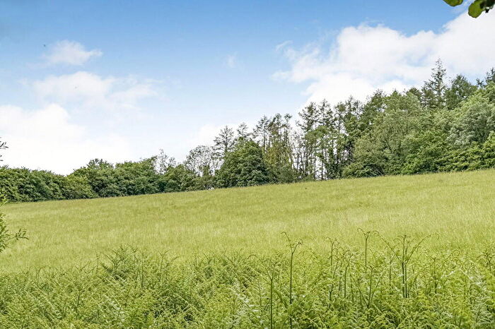 7 Bedroom Country House For Sale In Newells, Musbury, Axminster, Devon, EX13