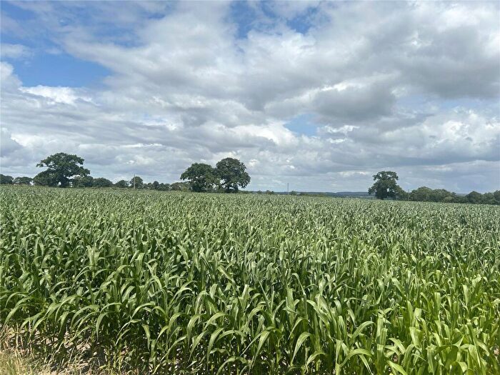 Land For Sale In Dunkeswell, Honiton, Devon, EX14