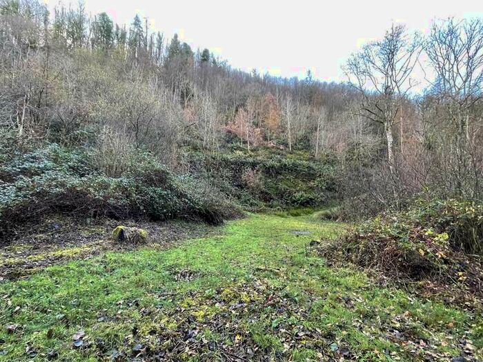 Commercial Land For Sale In Llanarthney, Carmarthen, SA32