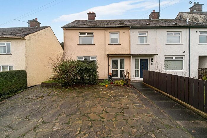 3 Bedroom End Of Terrace House For Sale In Croob Park, Ballynahinch, BT24