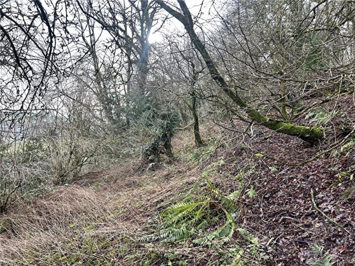 Land For Sale In Woodland At Mitcheldean, Mitcheldean, Gloucestershire, GL17