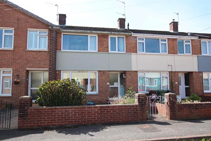 3 Bedroom Terraced House For Sale In Hamilton Avenue, Exeter, EX2