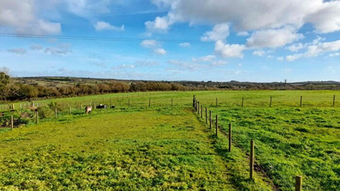 Land For Sale In Colbiggan, Roche, PL26