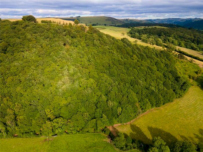 Land For Sale In Lloyney, Knighton, Powys, LD7