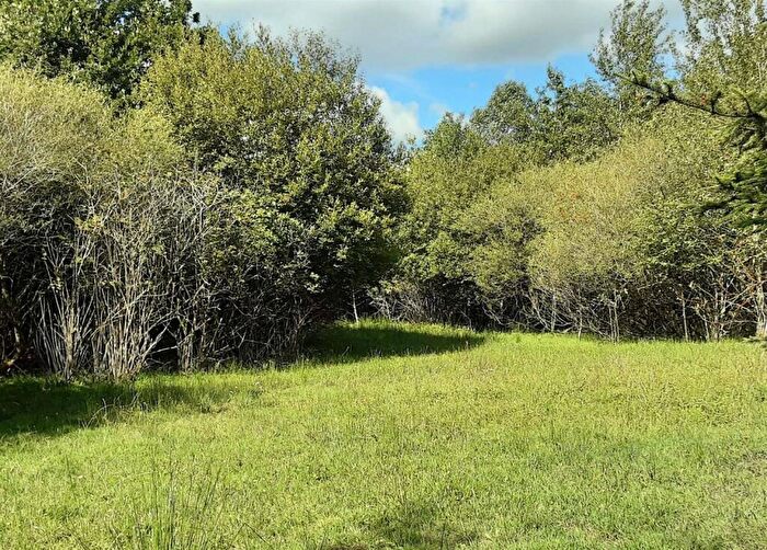Farm Land For Sale In West Chilla, Beaworthy, EX21
