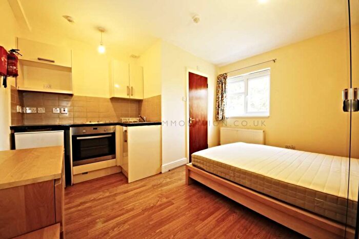 Studio To Rent In Bonham Road, Brixton, SW2