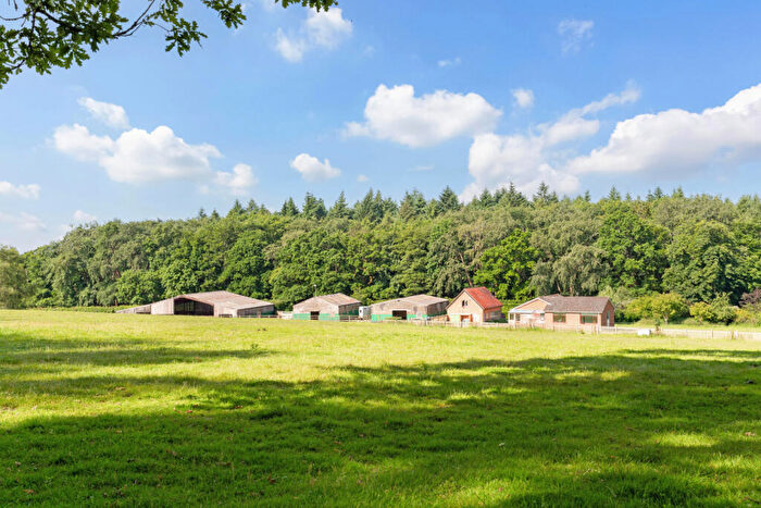 3 Bedroom Detached House For Sale In Moyles Court, Rockford, Ringwood, Hampshire, BH24