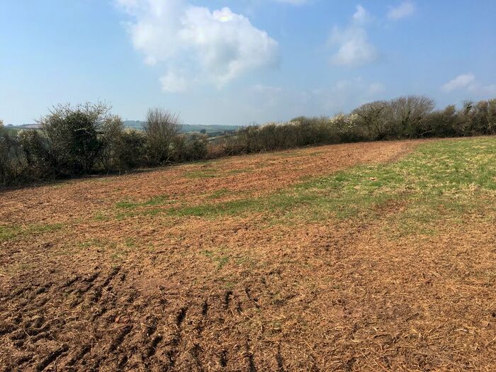 Land For Sale In Blackawton, Totnes, TQ9