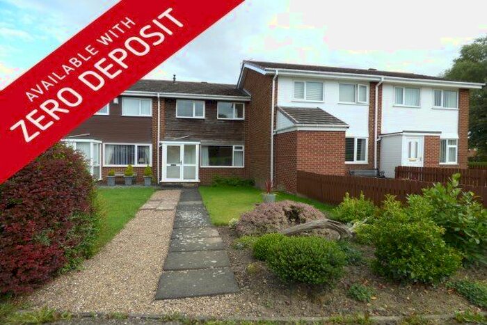 3 Bedroom Semi-Detached House To Rent In Chatton Close, Chester Le Street, DH2