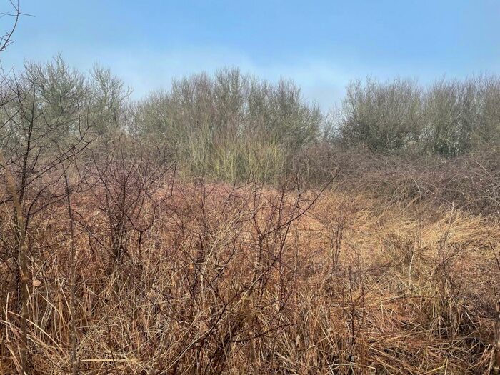 Farm Land For Sale In Mead Lane, North Wootton, BA4