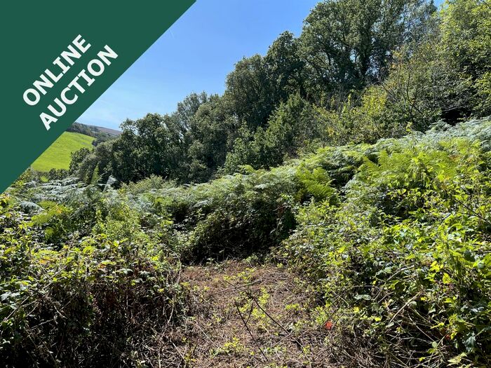 Land For Sale In Loddiswell, Kingsbridge, TQ7