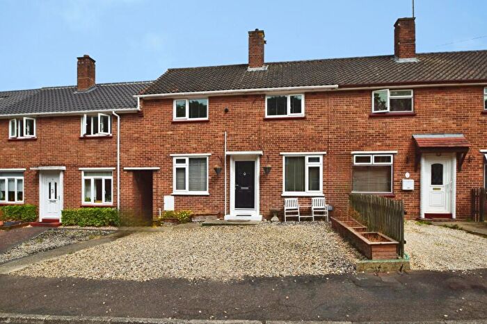 3 Bedroom Semi-Detached House To Rent In Sycamore Crescent, Norwich, NR2