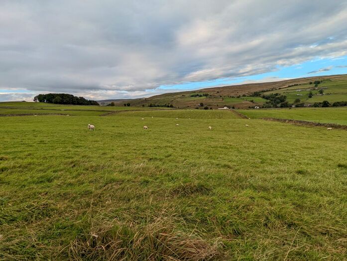 1 Bedroom Farmhouse For Sale In Lots, Lanehill, Ireshopeburn, Bishop Auckland, DL13