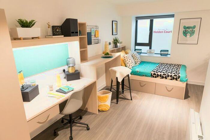 Studio To Rent In Classic Studio - Holden Court, BN2