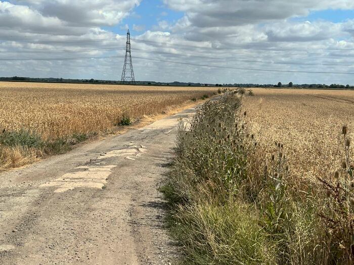 Farm Land For Sale In Land At Ten Mile Bank, PE14