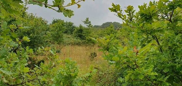 Land For Sale In Guildford Road, Rudgwick, RH12