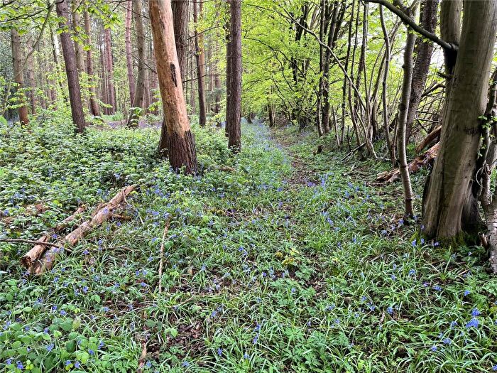 Land For Sale In Moat Wood, East Hoathly, East Sussex, BN8