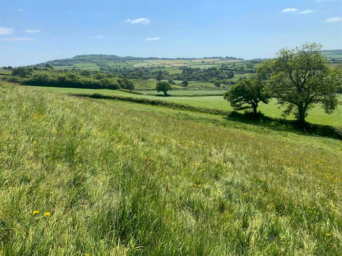 Land For Sale In Broadwindsor, Beaminster, Dorset, DT8