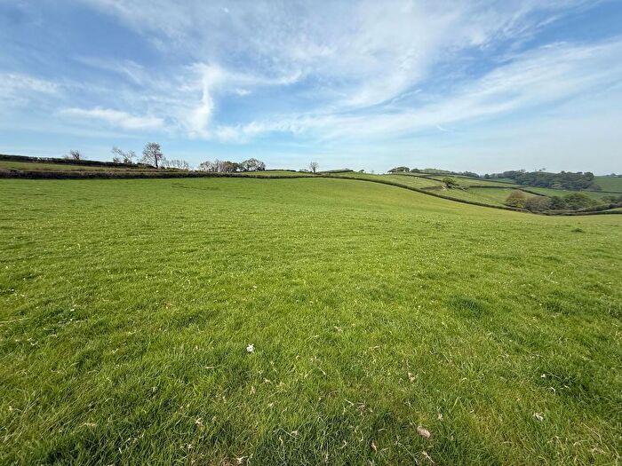 Land For Sale In Lot - Dipwell Farm, Ashburton, TQ13