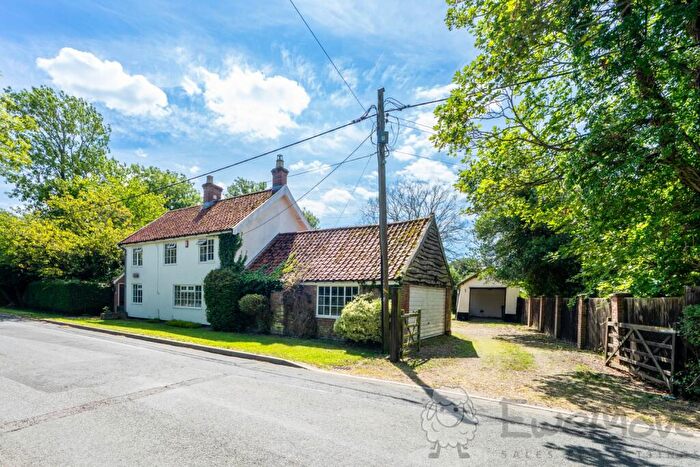 4 Bedroom Detached House For Sale In Bunwell Street, Bunwell, Norwich, Norfolk, NR16