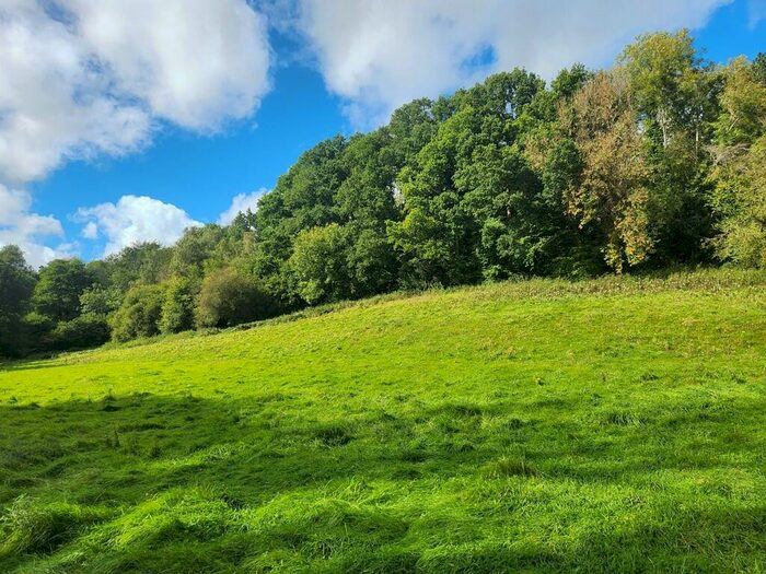 Land For Sale In Mill Lane, Hawkley, GU33