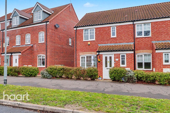 3 Bedroom End Of Terrace House For Sale In Egyptian Goose Road, Norwich, NR7