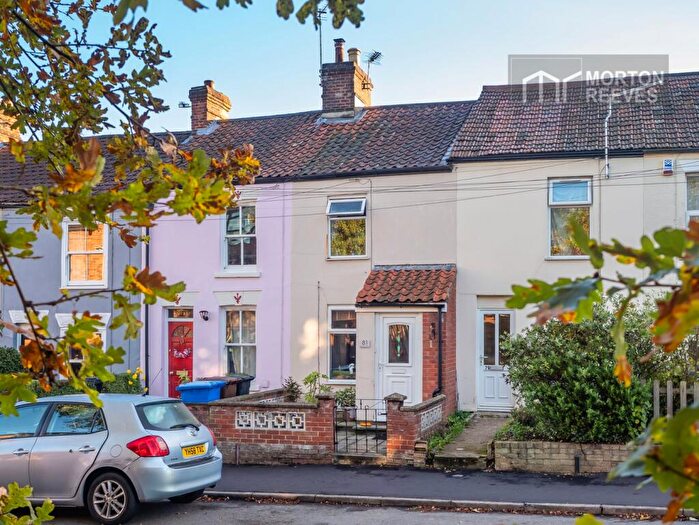 2 Bedroom Terraced House For Sale In Quebec Road, Thorpe Hamlet, Norwich, NR1