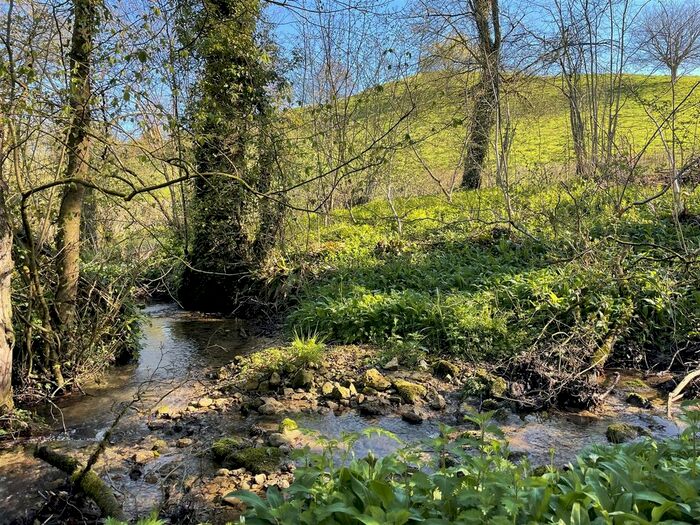 Land For Sale In Gold Hill, Batcombe, Shepton Mallet, BA4