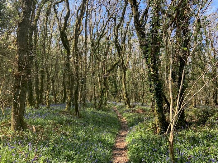 Land For Sale In Lanivet, Bodmin, Cornwall, PL30