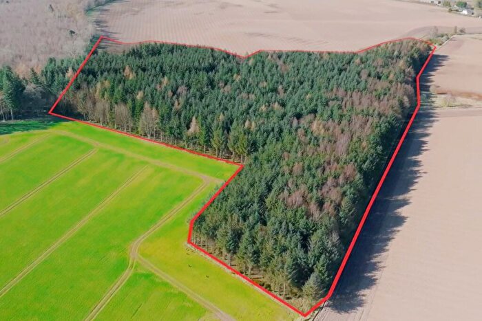 Land For Sale In Land At, Muirwood East, . Acres, Dunning, Perth, PH2