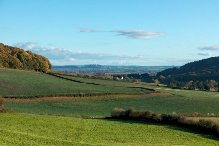 Land For Sale In Brinsop, Hereford, Herefordshire, HR4