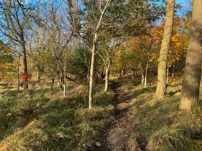 Equestrian Facility For Sale In Innerburnwhin Wood, NE65