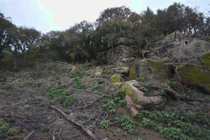 Land For Sale In Westcott Lane, Moretonhampstead, Devon TQ13