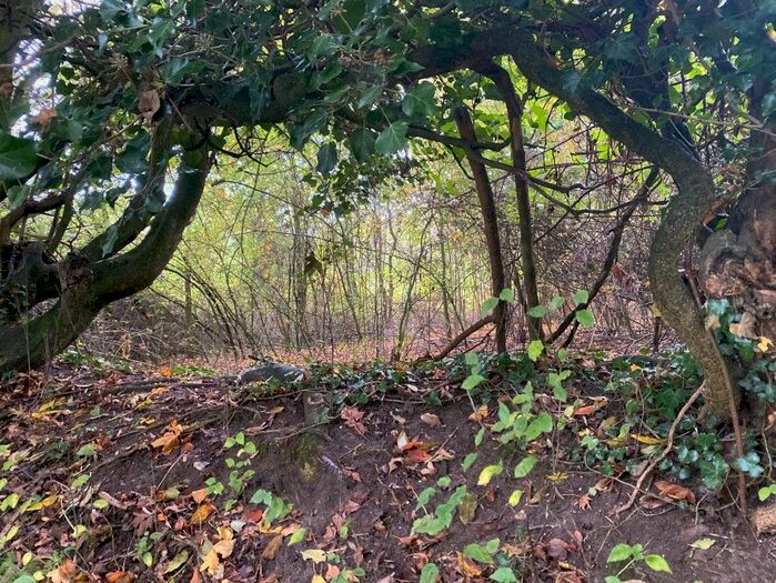 Land For Sale In Land Adjacent To, Church Street, Bawburgh, Norwich, Norfolk, NR9