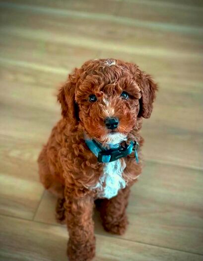 3 Bedroom Flat To Rent In George Street, Croydon, CR0